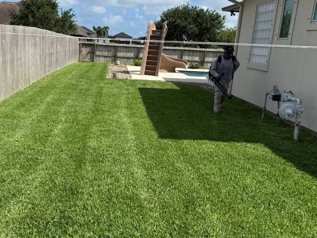 The same backyard after LRT mowed it into clean stripes and blew off the hard surfaces