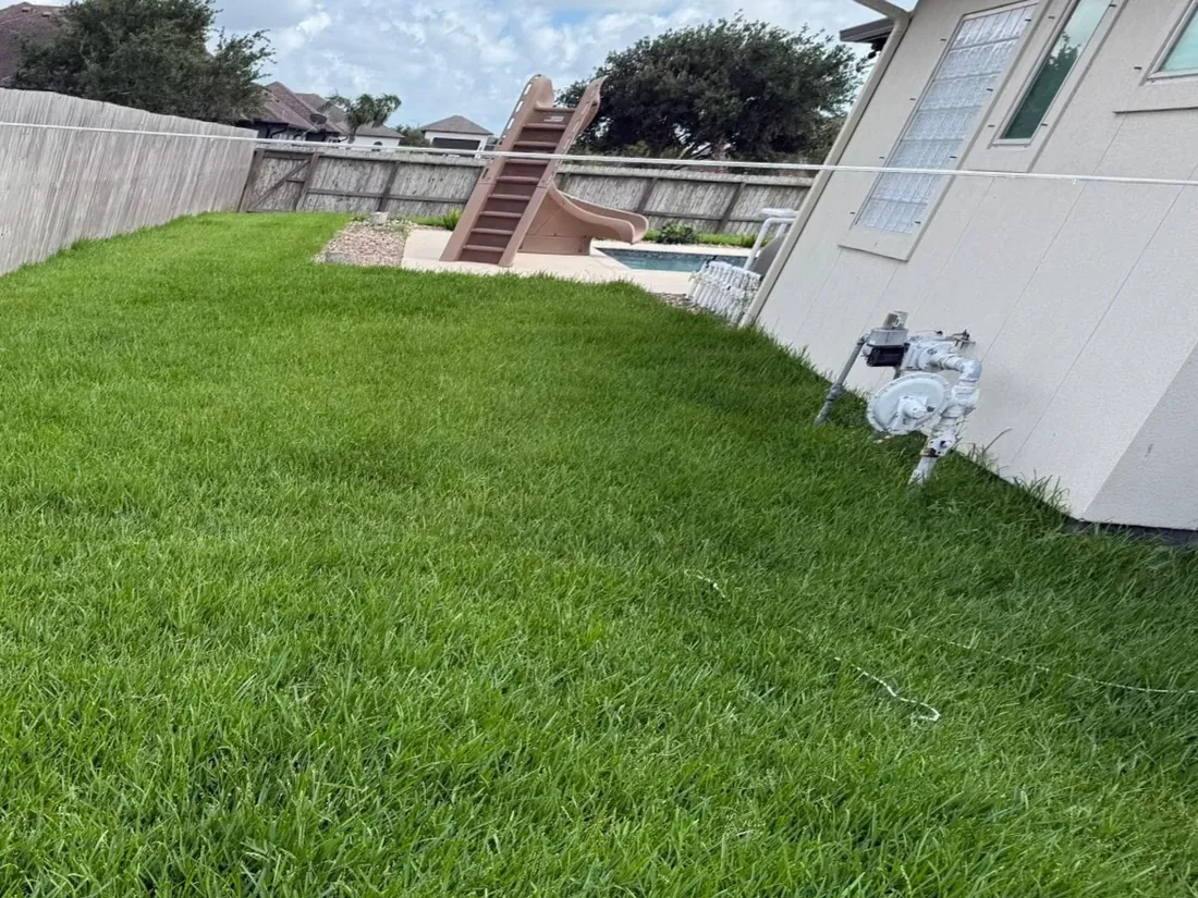 An overgrown backyard in Portland, Texas before LRT's crew arrived