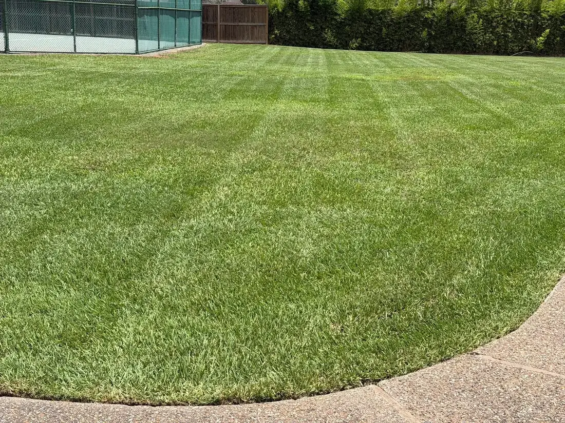 A large commercial lawn mowed into stripes along a curved concrete walk