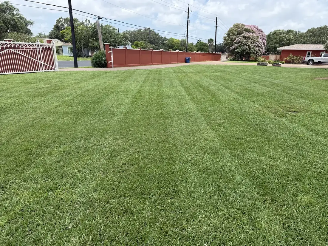 A large open lot mowed into clean stripes beside a red masonry wall